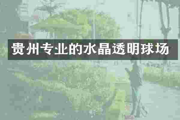 贵州专业的水晶透明球场