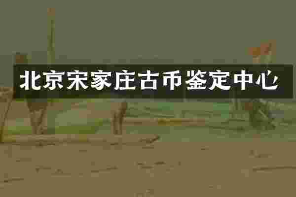 北京宋家庄古币鉴定中心