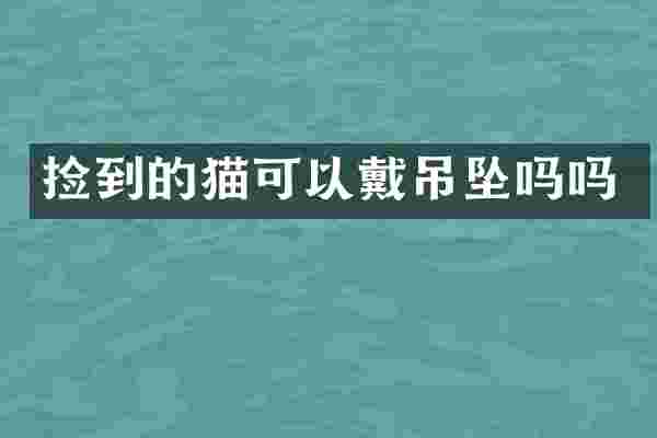 捡到的猫可以戴吊坠吗吗