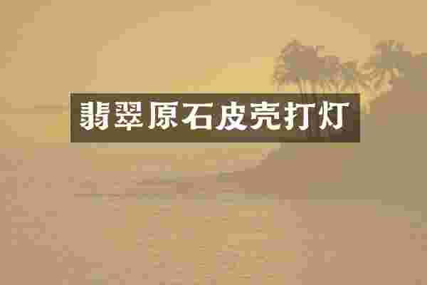 翡翠原石皮壳打灯