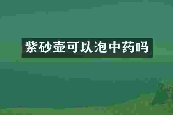 紫砂壶可以泡中药吗