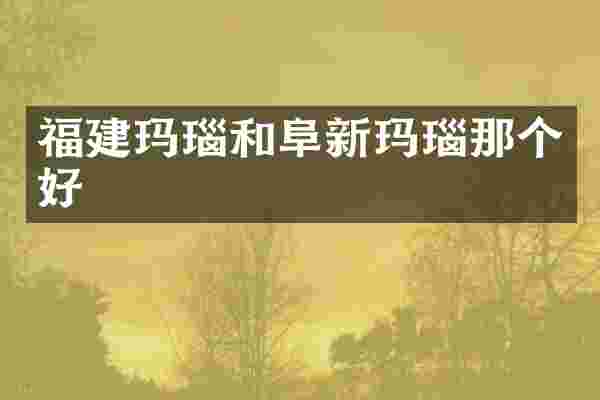 福建玛瑙和阜新玛瑙那个好