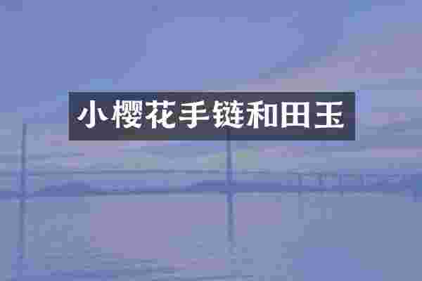 小樱花手链和田玉