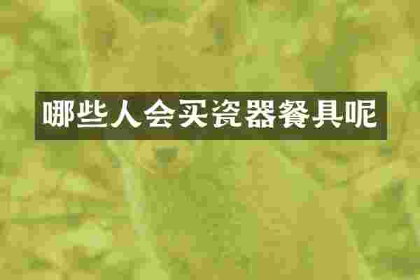 哪些人会买瓷器餐具呢