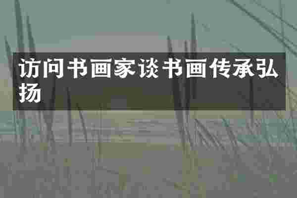 访问书画家谈书画传承弘扬