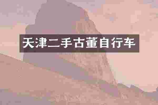 天津二手古董自行车