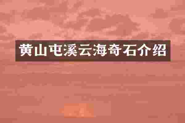 黄山屯溪云海奇石介绍