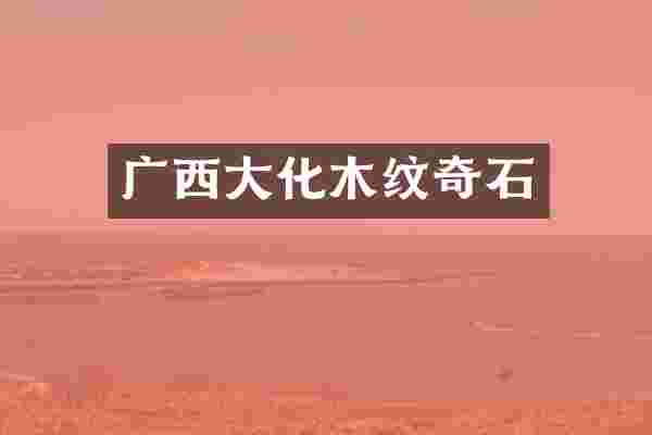 广西大化木纹奇石