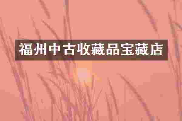 福州中古收藏品宝藏店