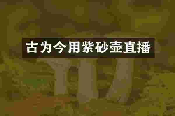 古为今用紫砂壶直播