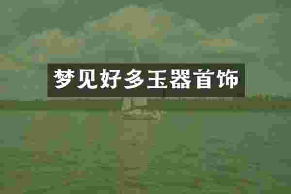 梦见好多玉器首饰