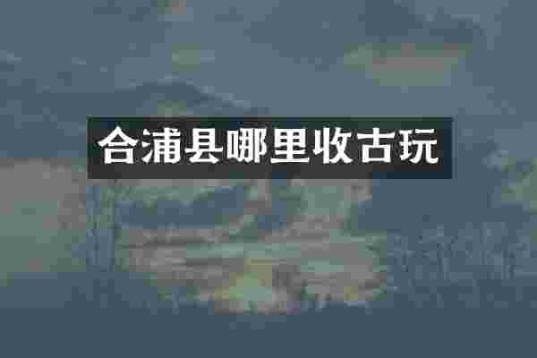 合浦县哪里收古玩