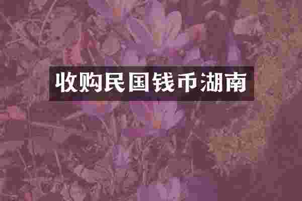 收购民国钱币湖南