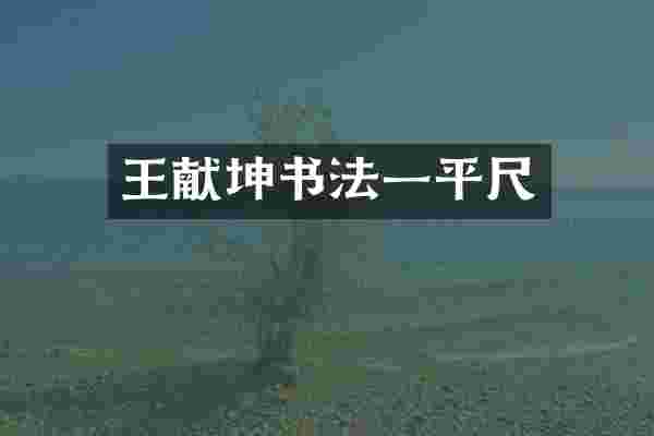 王献坤书法一平尺