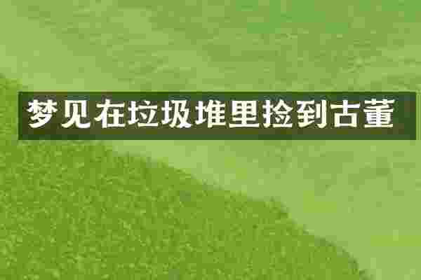 梦见在垃圾堆里捡到古董