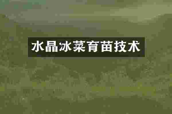 水晶冰菜育苗技术