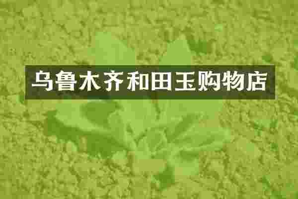 乌鲁木齐和田玉购物店