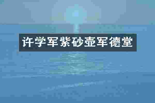 许学军紫砂壶军德堂