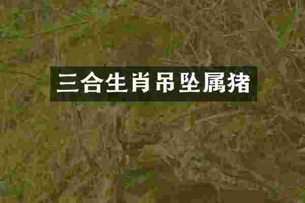 三合生肖吊坠属猪