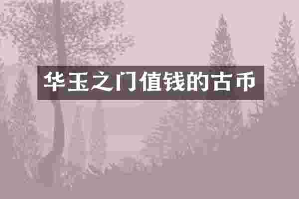 华玉之门值钱的古币