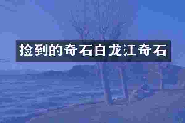 捡到的奇石白龙江奇石