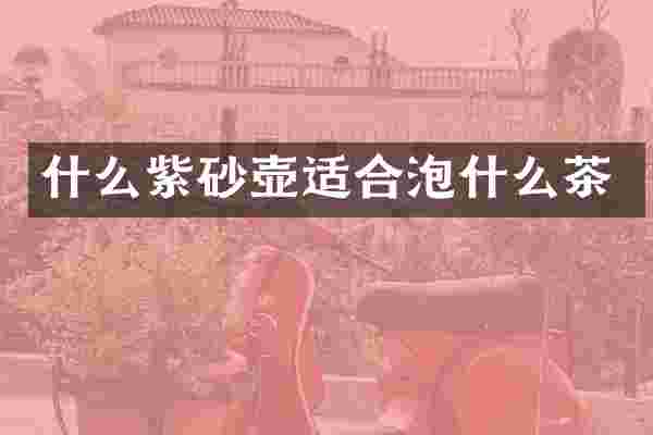 什么紫砂壶适合泡什么茶