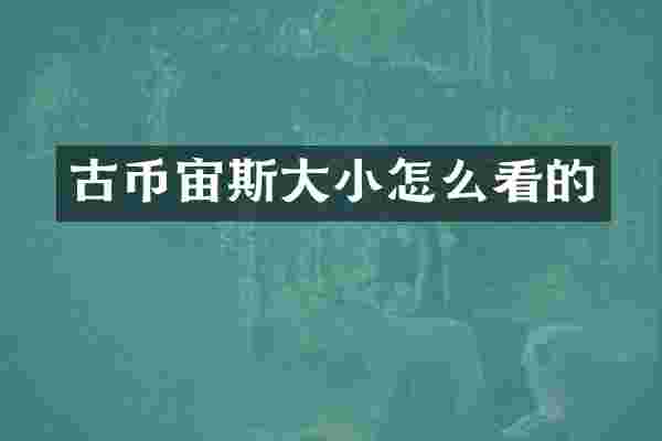 古币宙斯大小怎么看的
