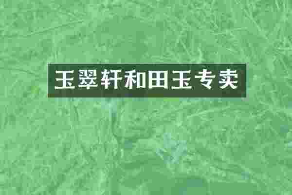 玉翠轩和田玉专卖