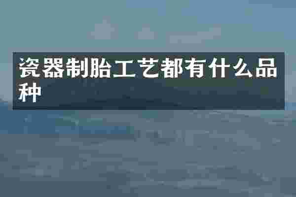 瓷器制胎工艺都有什么品种