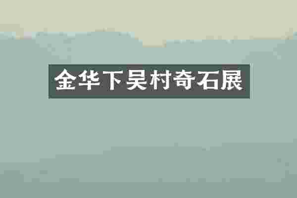 金华下吴村奇石展