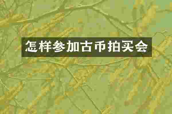 怎样参加古币拍买会