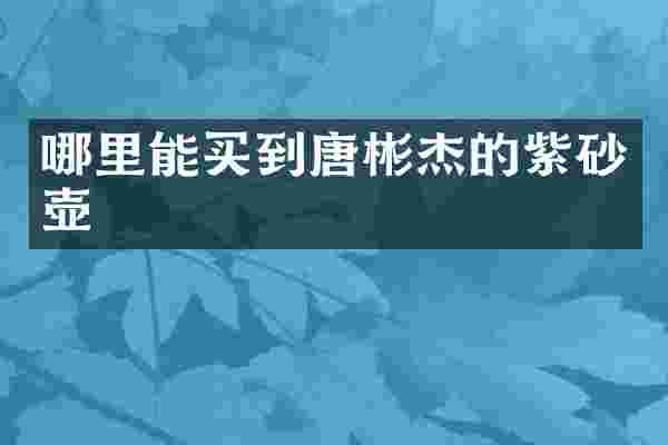 唐彬杰的紫砂壶