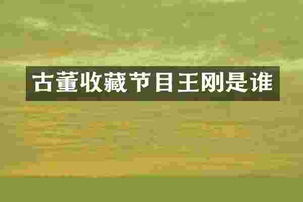 古董收藏节目王刚是谁