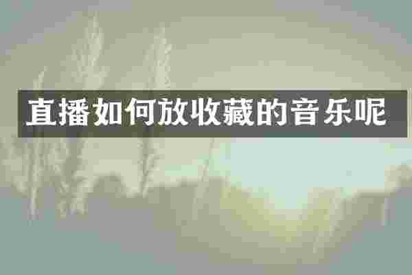 直播如何放收藏的音乐呢
