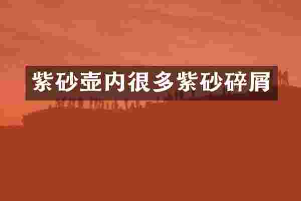 紫砂壶内很多紫砂碎屑