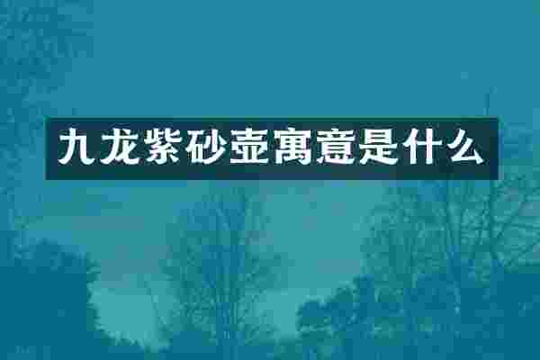 九龙紫砂壶寓意是什么