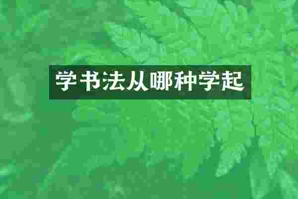 学书法从哪种学起