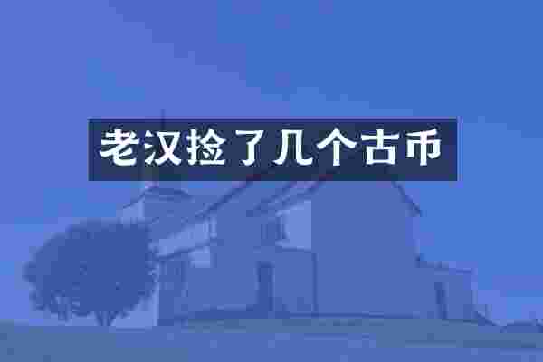 老汉捡了几个古币