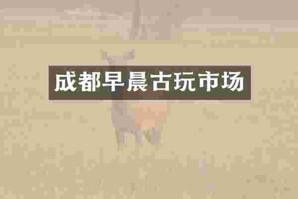 成都早晨古玩市场