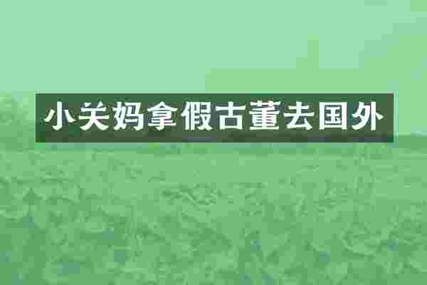 小关妈拿假古董去国外