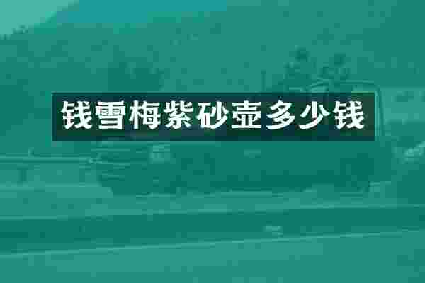 钱雪梅紫砂壶多少钱