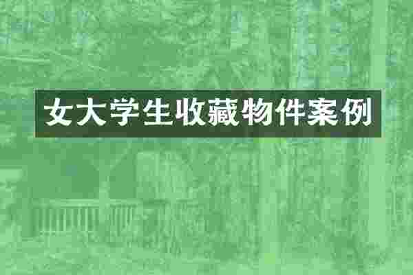 女大学生收藏物件案例