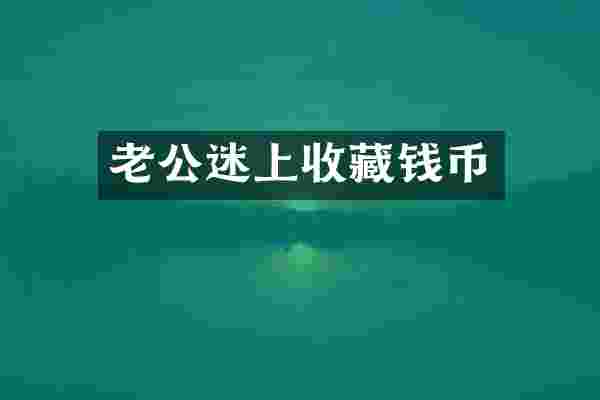 老公迷上收藏钱币
