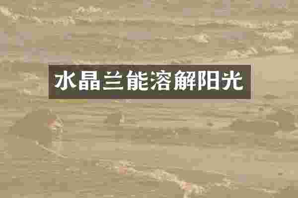 水晶兰能溶解阳光