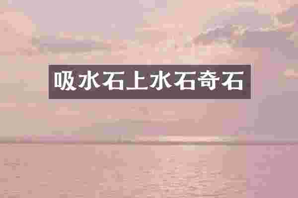 吸水石上水石奇石
