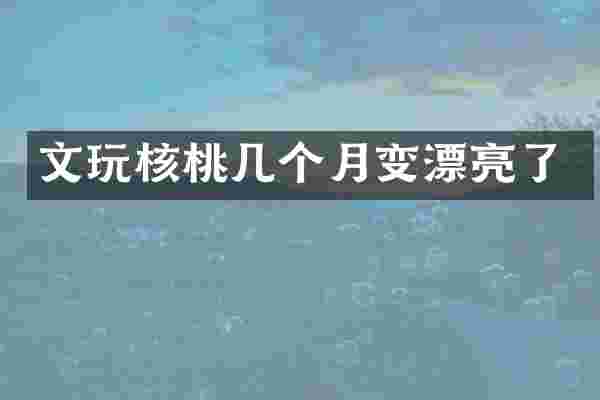 文玩核桃几个月变漂亮了