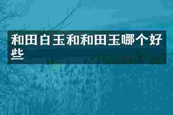 和田白玉和和田玉哪个好些