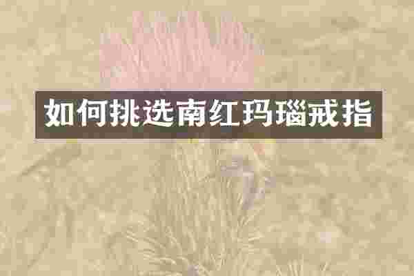 如何挑选南红玛瑙戒指