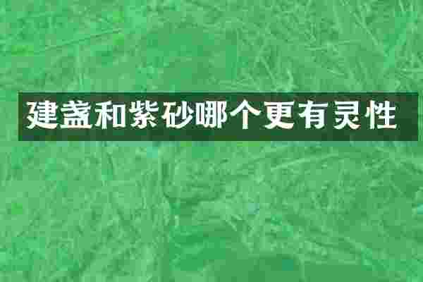建盏和紫砂哪个更有灵性