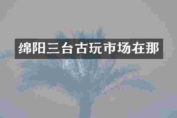 绵阳三台古玩市场在那